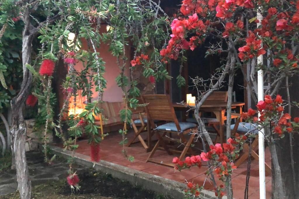 סאן תאודורו Villetta La Cinta מראה חיצוני תמונה